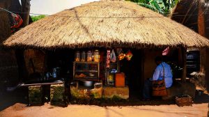 A hut of Rural Bengal as photographed at Shantiniketan during Dol or basanta Utsab