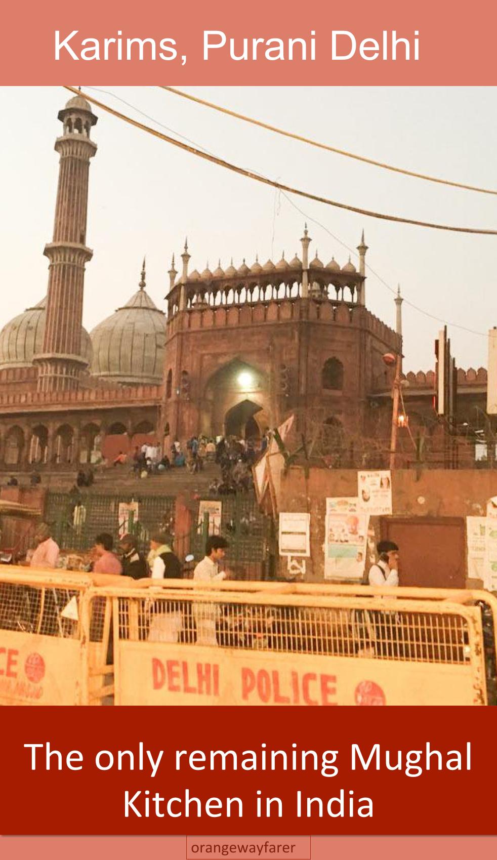 Jama Masjid and the entry to Karims. A cacophony! 