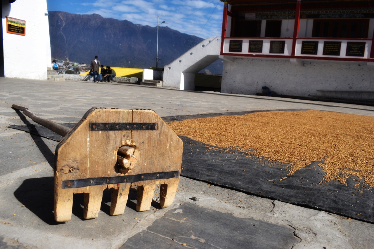 Tawang Monastery