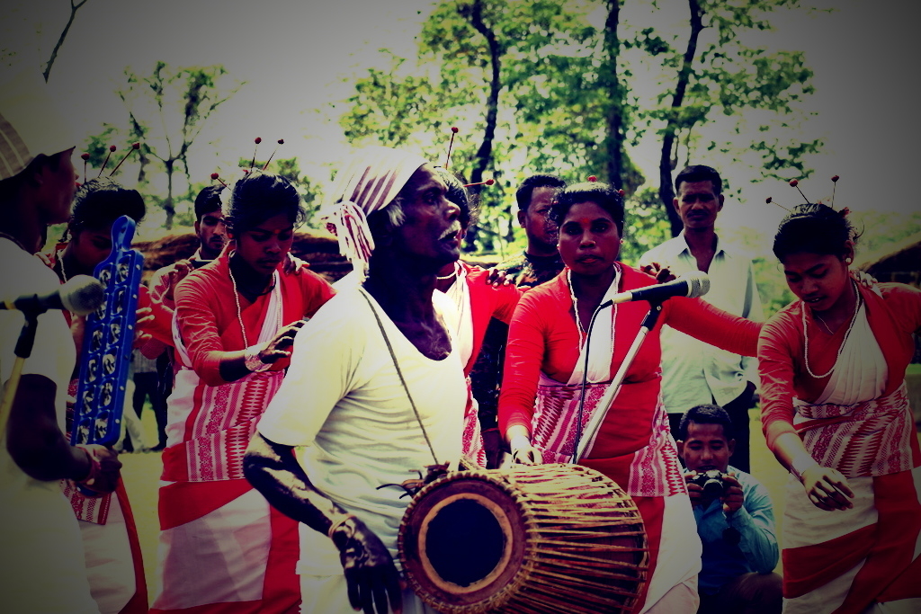 Jhumur is a dance form by the tea garden workers. A celebration in the foothill of Himalaya at Manas national Park