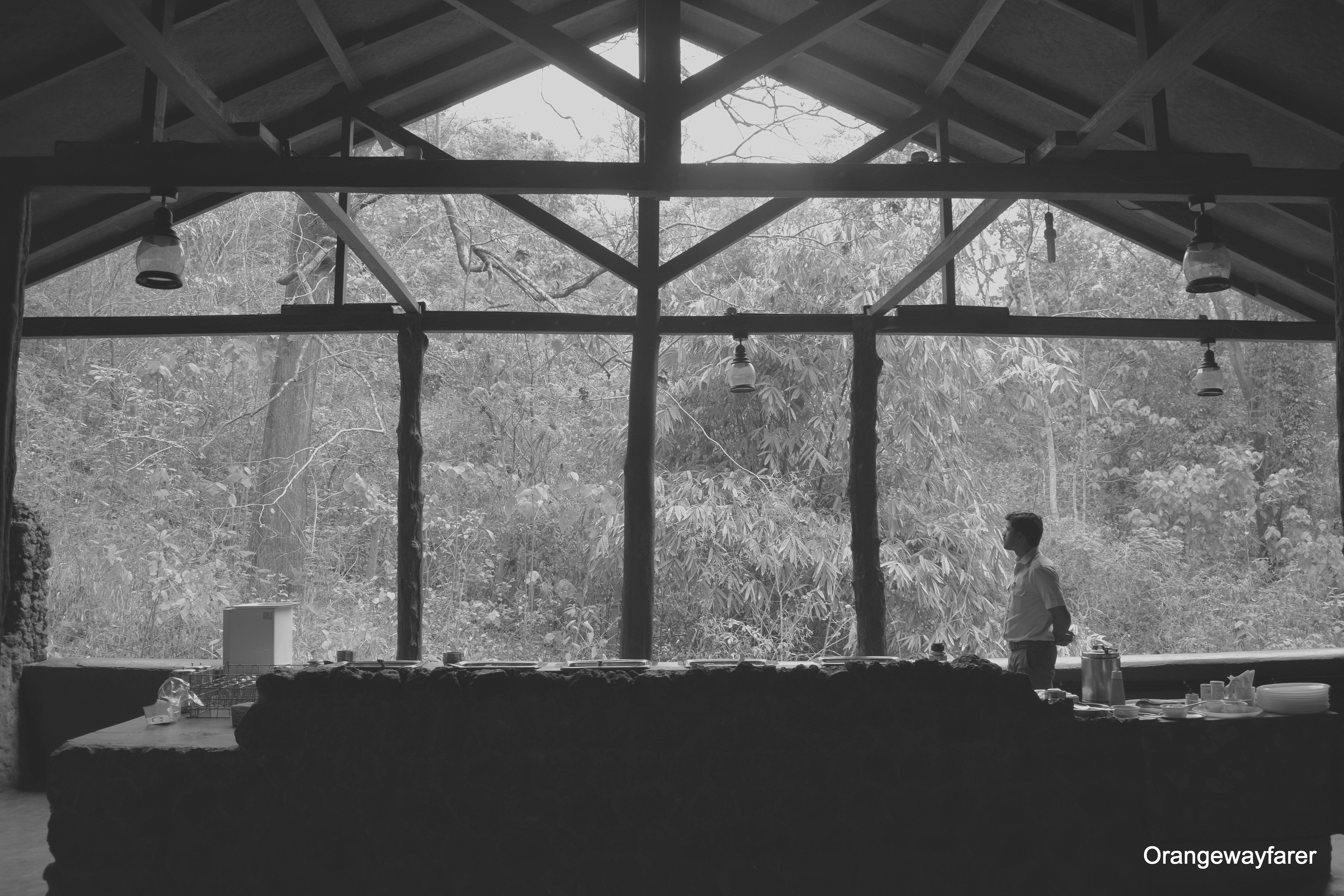 Old magazine House in Dandeli is an old school bungalow set amid a jungle.