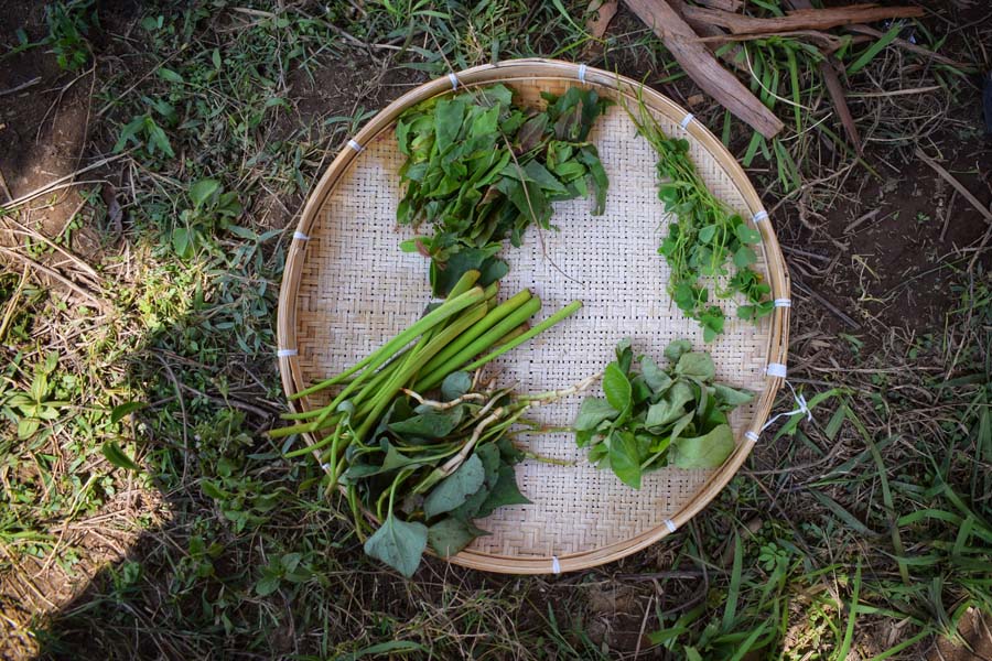 Authentic ingredients for cooking bodo food