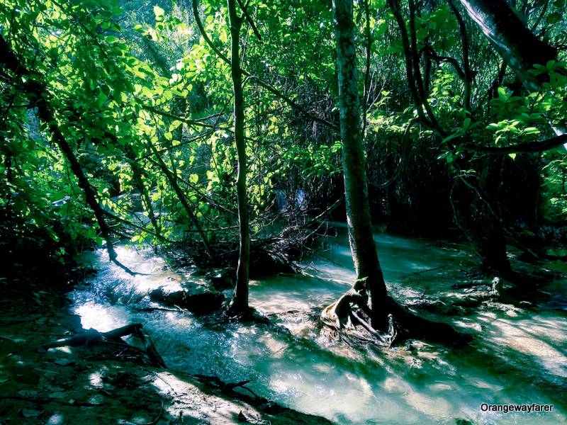 Kuang Si Waterfall: day tour from luang Prabang