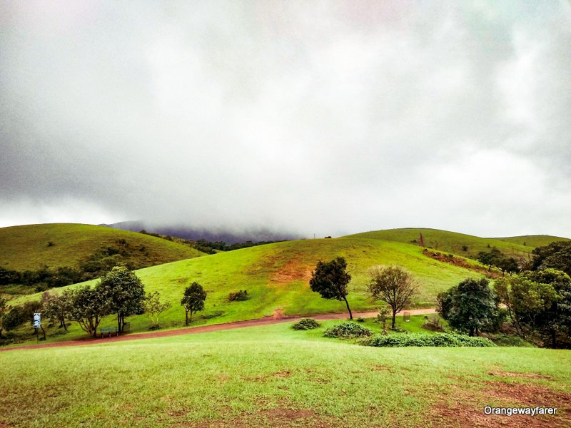 Vagamon Meadows