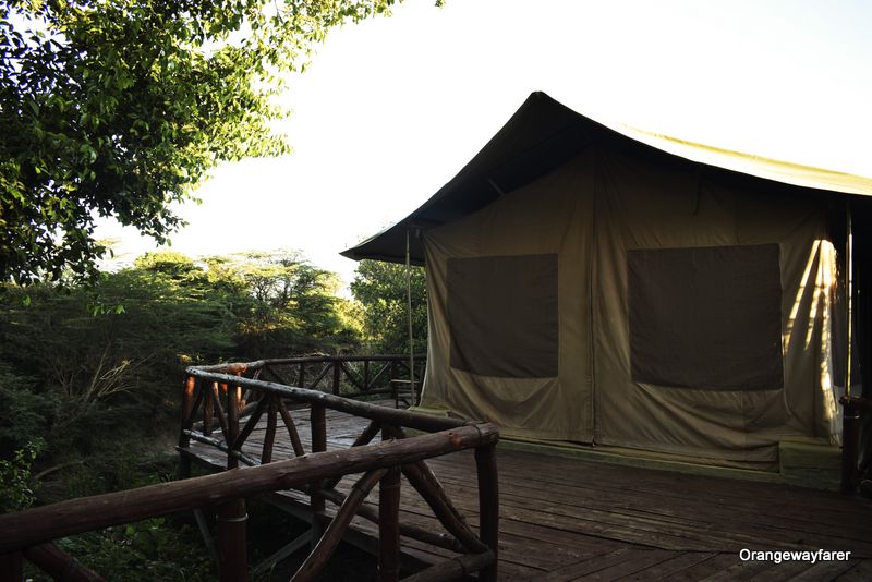 A tent at Azure Mara Haven