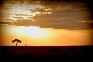 Sunset at Masai Mara