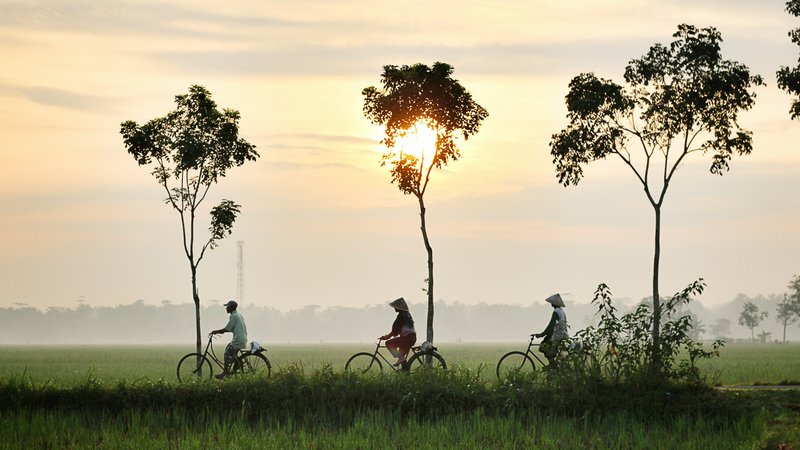 Bike Tide in Rural Vietnam Hoi an