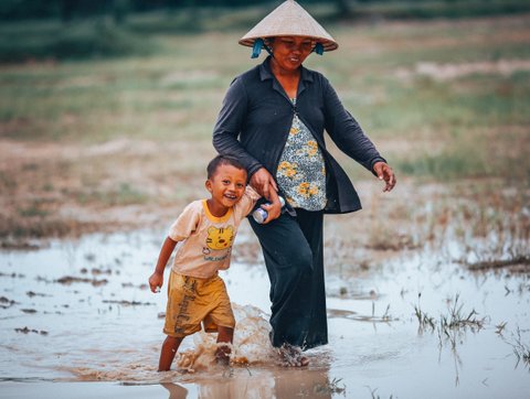 Hoi an Rice paddy field