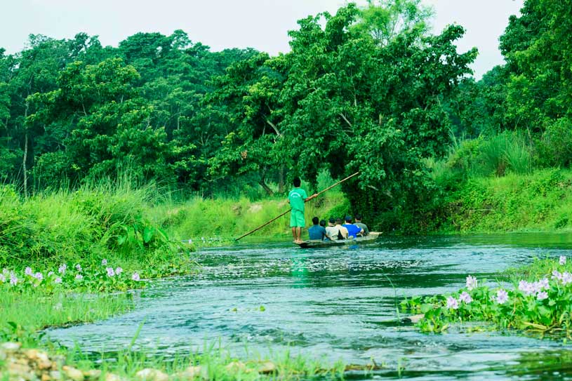 Nepal Photo Blog: Chitwan National Park a UNESCO Heritage Site in Nepal where one horned rhino and Royal bengal Tigers live! 