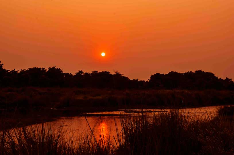 Sunset at Chitwan  National Park, nepal