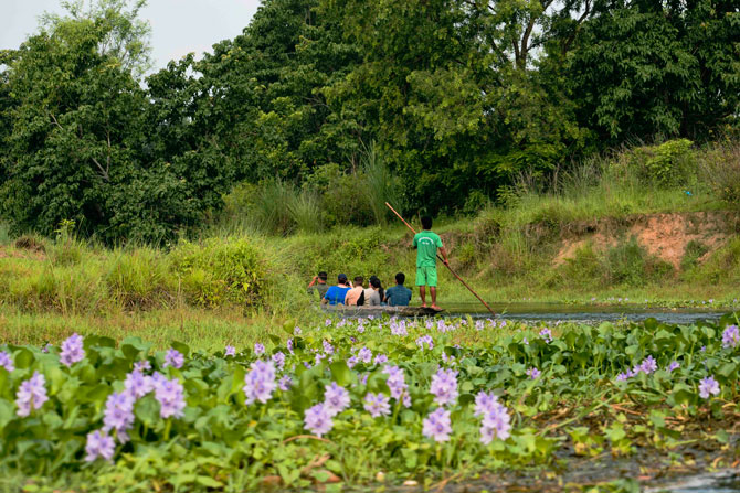 Canoe Ride at Chitwan National Park: things to do at Chitwan beside elephant safari
