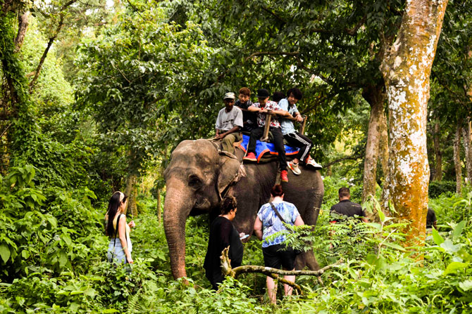 Elephant Safari ride at Chitwan National Park: is it ethical?