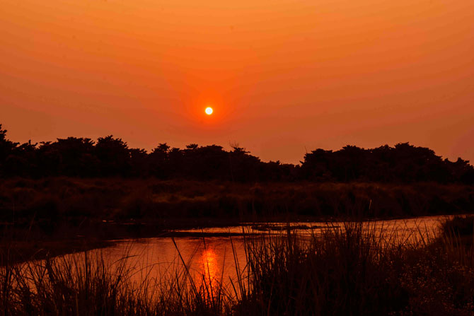 Sunset at Rapri River, Chitwan National Park, Nepal a complete Travel guide