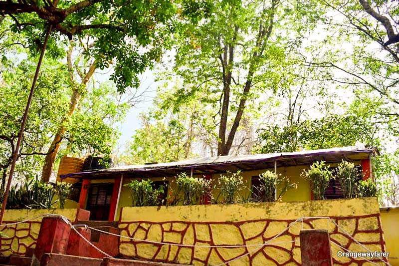 Dandeli jungle camp: my eco friendly lodge. You can also go camping at Dandeli Jungle camp