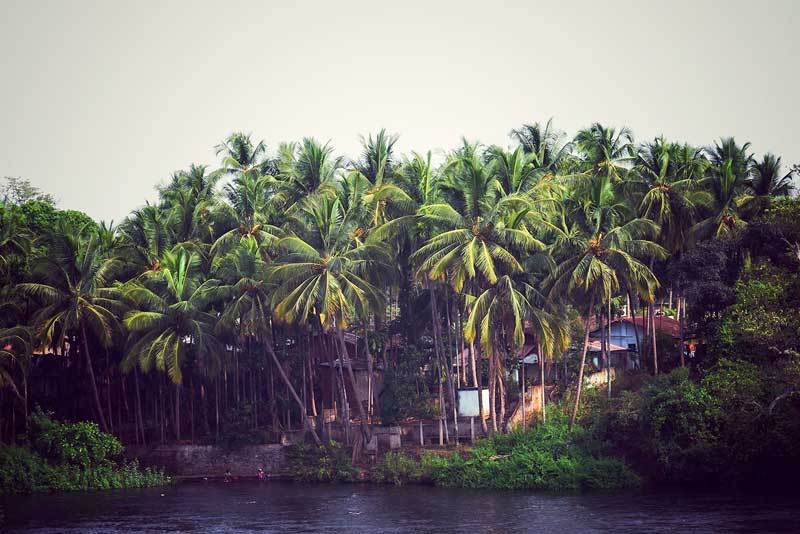 Rural Indian scene from the western ghats, Dandeli. the river is situated by the kali river. It is very near to Goa.