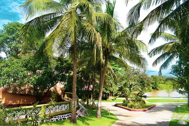 Mercure Devaaya Retreat: the best resort in Goa!