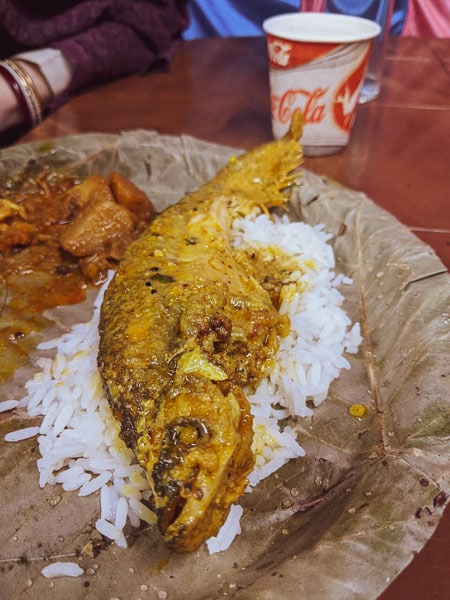 Pabda fish: menu for Bengali wedding