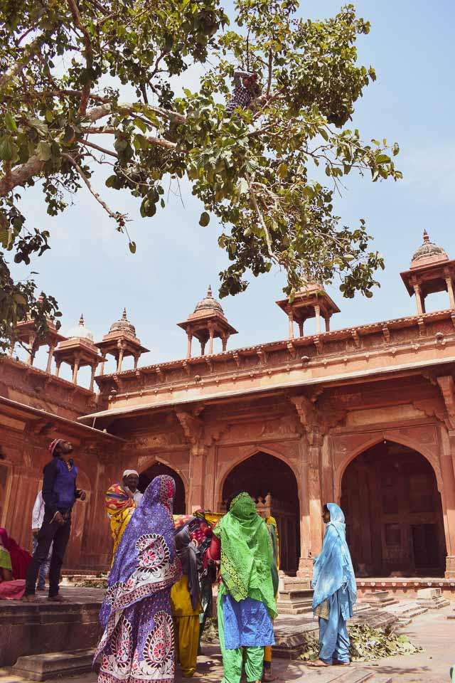 Salem Chisti's Dargah, Fatehpur Sikri: Best Places 