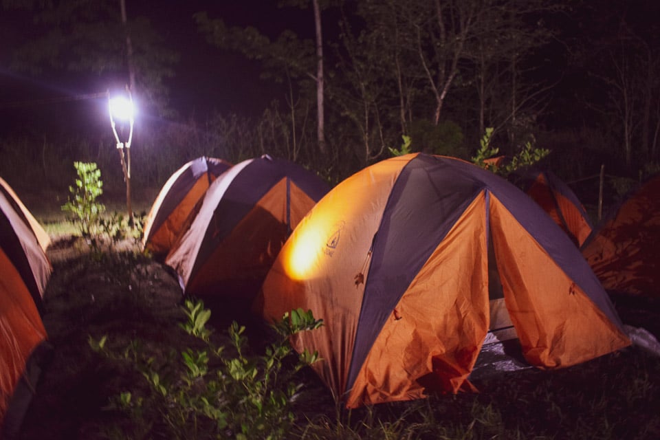 Camping at the Manas National Park, Assam