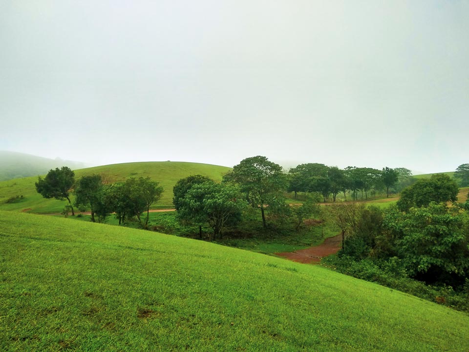 Vagamon Meadow: best places to travel in India