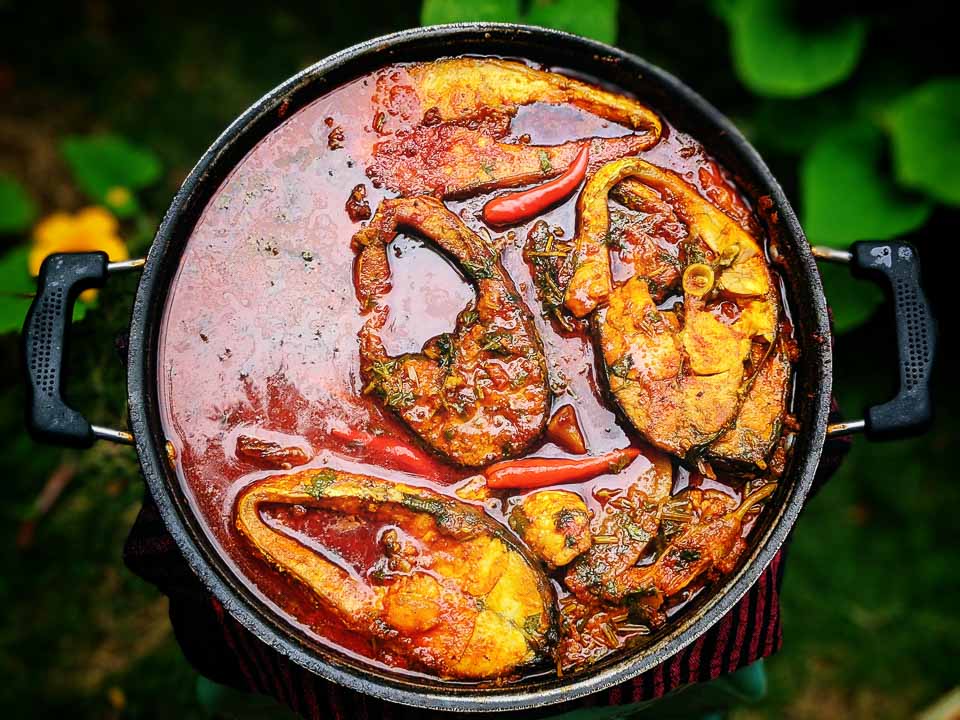 Bhetki macher kaliya. Seabass. Barracuda fish curry. bengali fish curry. Foodfood. Goodfood. Bhetki macher jhol. Bhetki macher jhal. 