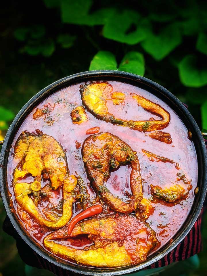 Bhetki macher kaliya. Seabass. Barracuda fish curry. bengali fish curry. Foodfood. Goodfood. Bhetki macher jhol. Bhetki macher jhal.