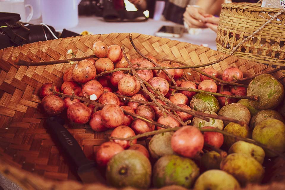 Baci ceremony at Ban Phanom, remote villages near luang Prabang for a day trip