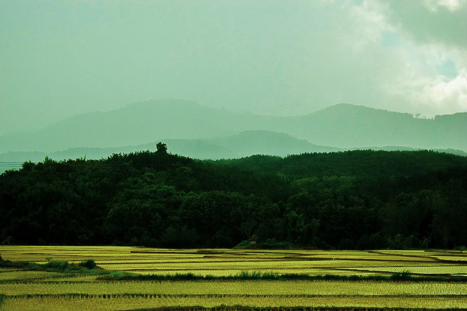 Ban Phanom, remote villages near luang Prabang for a day trip: rice terrace of Luang Prabang Laos