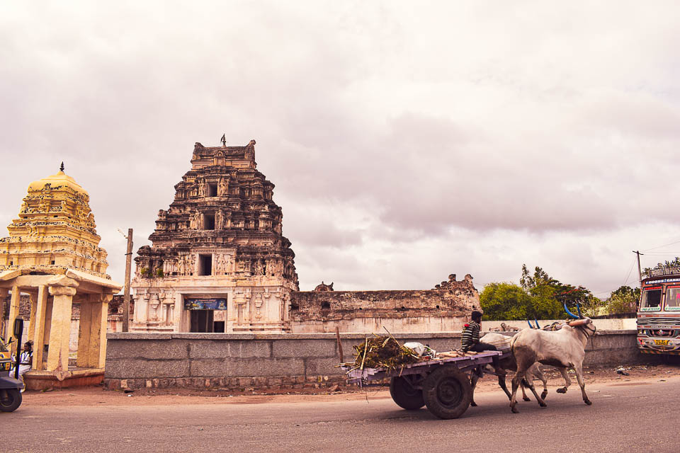 ox cart ride in rural India: offbeat things to do in India