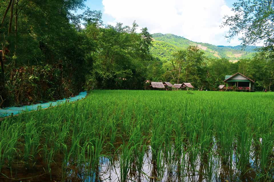 Pha Thok Cave: things to do in Nong Khiaw, offbeat destination in Luang Prabang