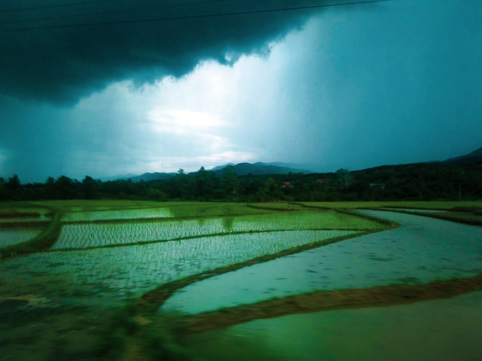 Rice Paddy fields near Luang Prabang: day Tours from Luang Prabang!