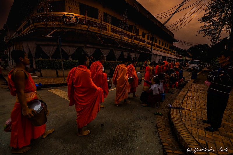 Morning alms giving ceremony of Luang Prabang, laos