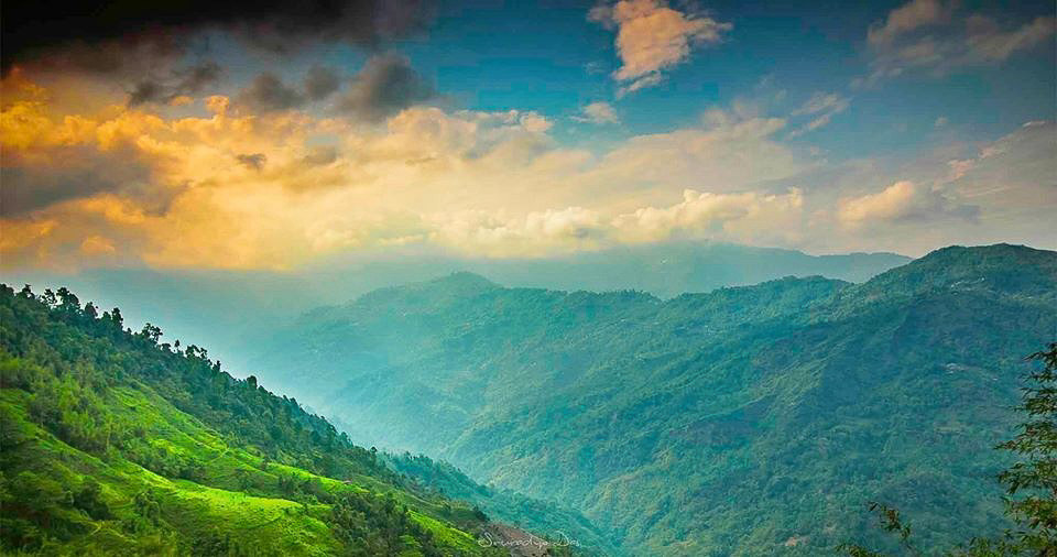 darjeeling trip quotes