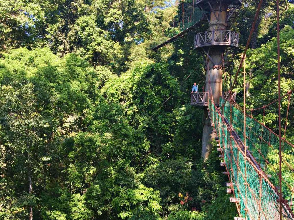 Danum Valley: offbeat destinations in Malaysia