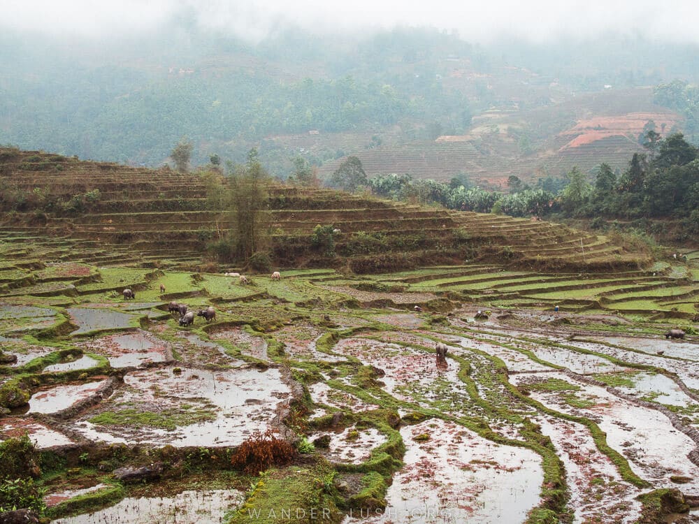 Most beautiful places to visit in Vietnam
