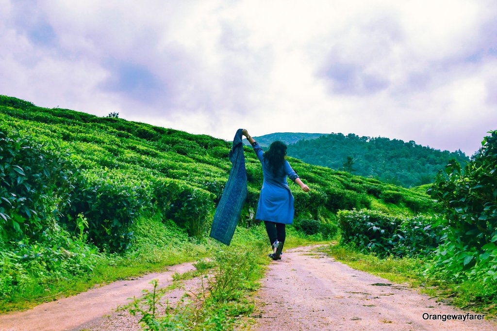 দারুচিনির দ্বীপ কেরালা, মানুষ যেখানে প্রকৃতির সন্তান: Human by Nature, Kerala!