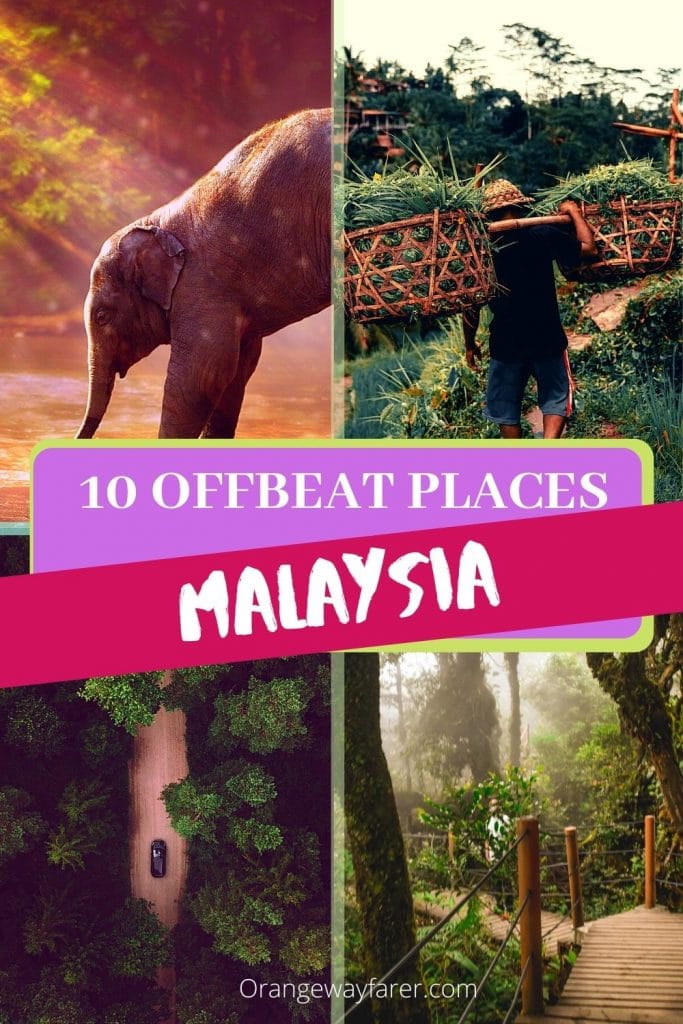 Offbeat destination in Malaysia that will blow your mind. alternate beautiful places to visit in Malaysia. Malaysia beyond Kuala Lumpur and Langkawi. beautiful places to visit in Malaysia for nature lovers. Some of these are UNESCO world heritage sites. Malaysia is home to ancient rainforest where Orangutans live. #malaysia #offbeatplacestovisitinmalaysia #romanticdestinationsinmalaysia #orangutan