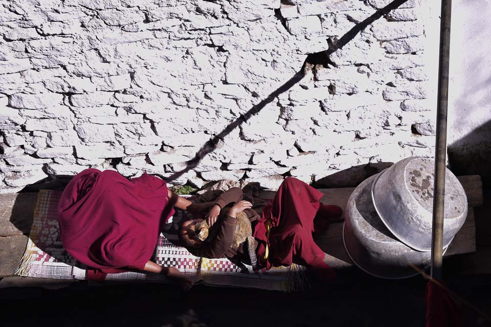 Monks at the Tawang Monastery