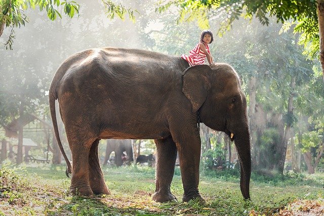 places to visit in Laos