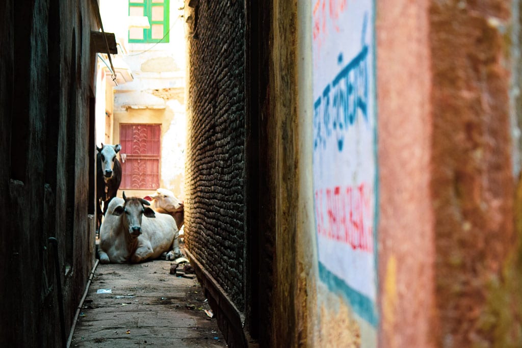 Old streets of varanasi