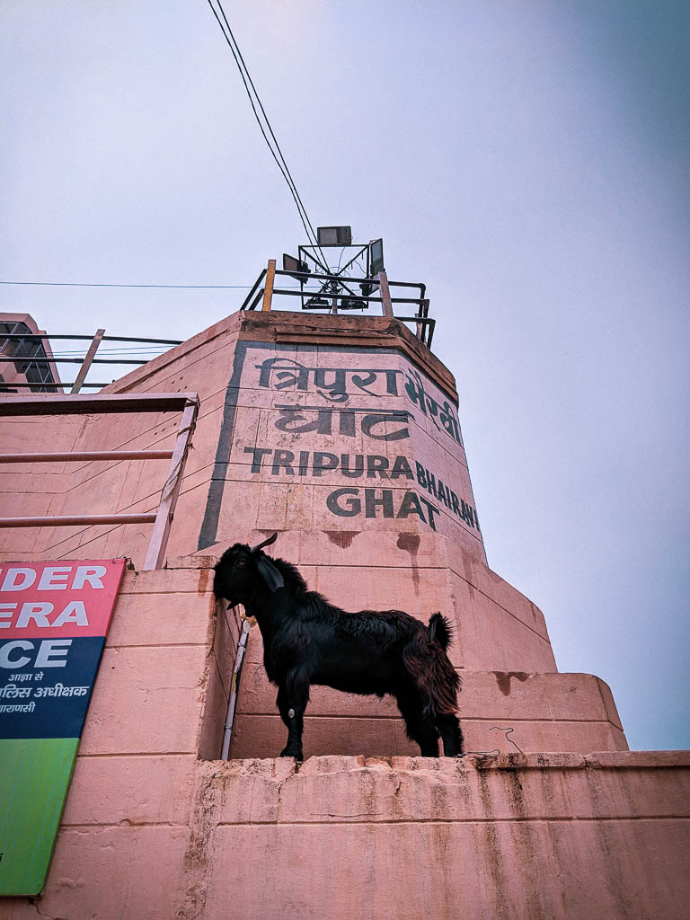 Ghats of Varanasi: Varanasi Travel Blog