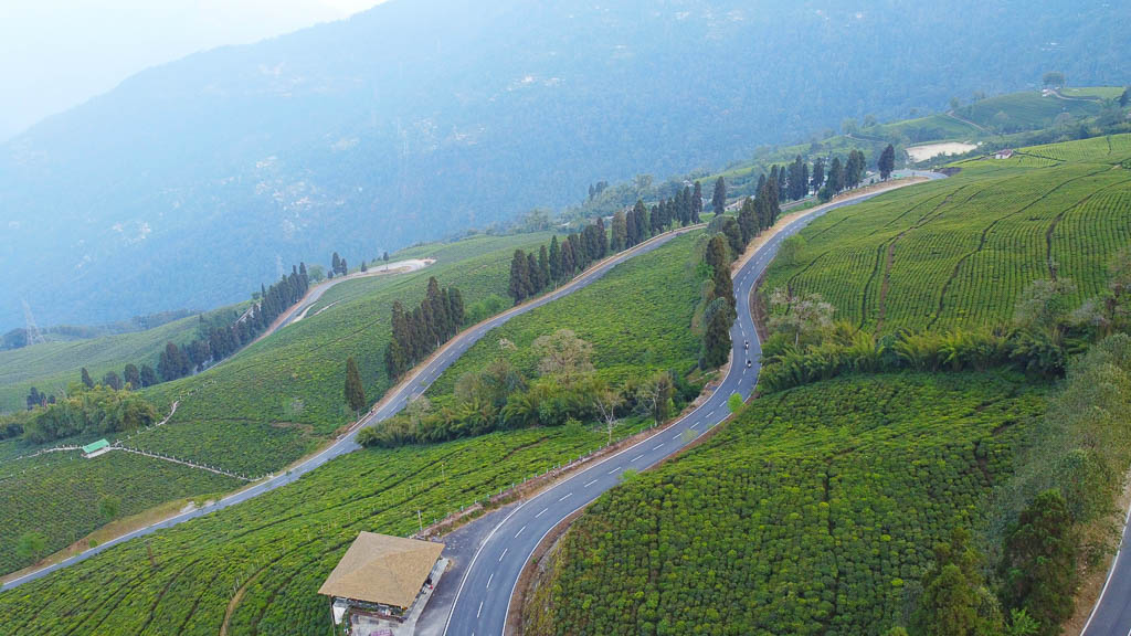 Temi Tea Garden: Drone shot of Sikkim 