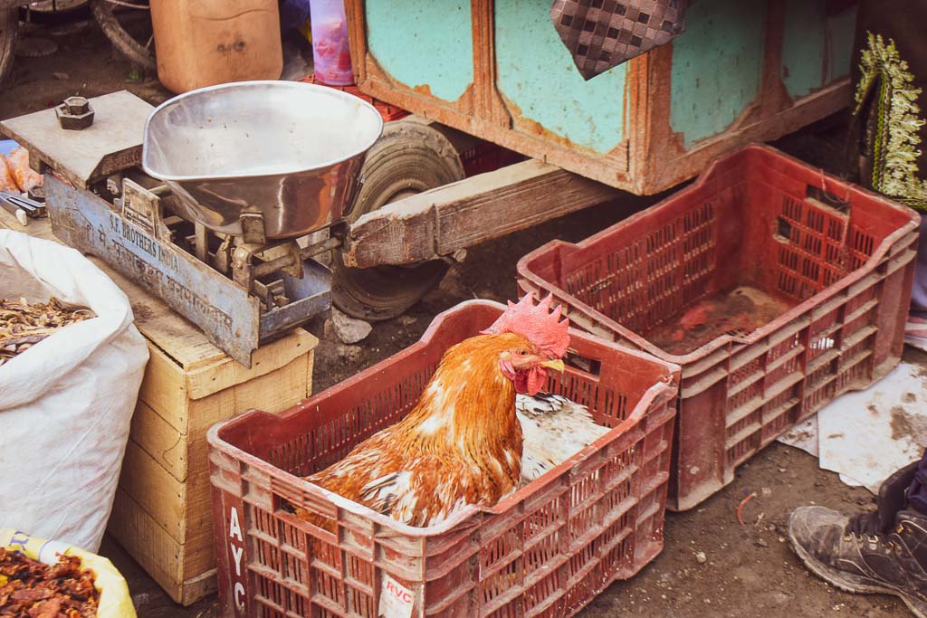 Apo Market of Kargil Town