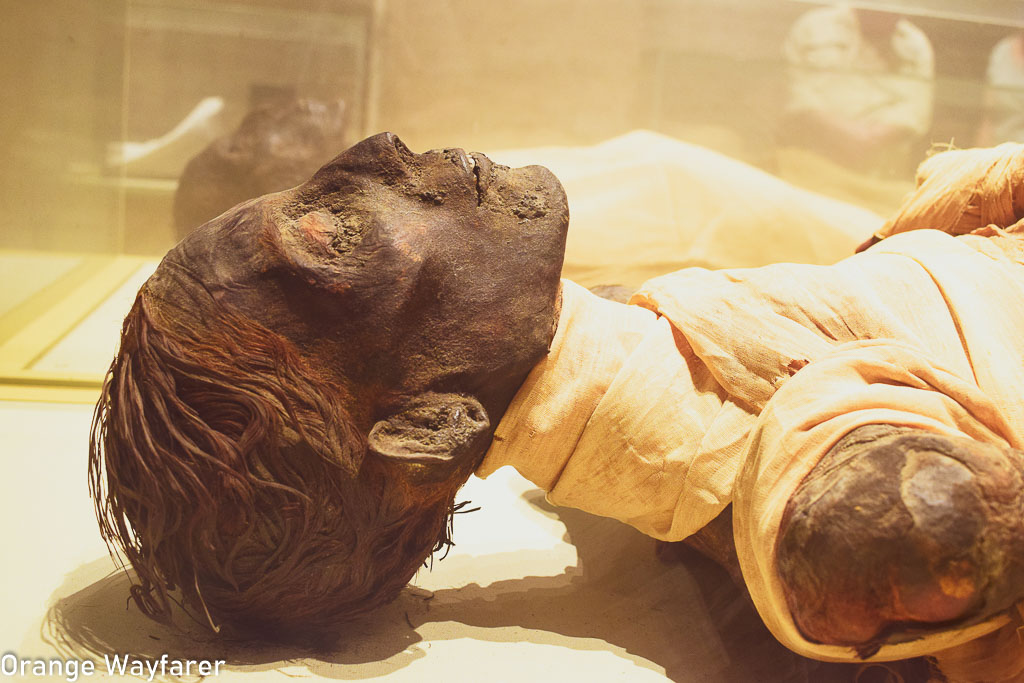 Travel tips for Egypt: Mummies on display at Egyptian National Museum