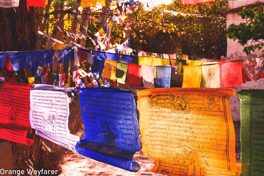 Things to buy from Leh: Travel guide to Leh