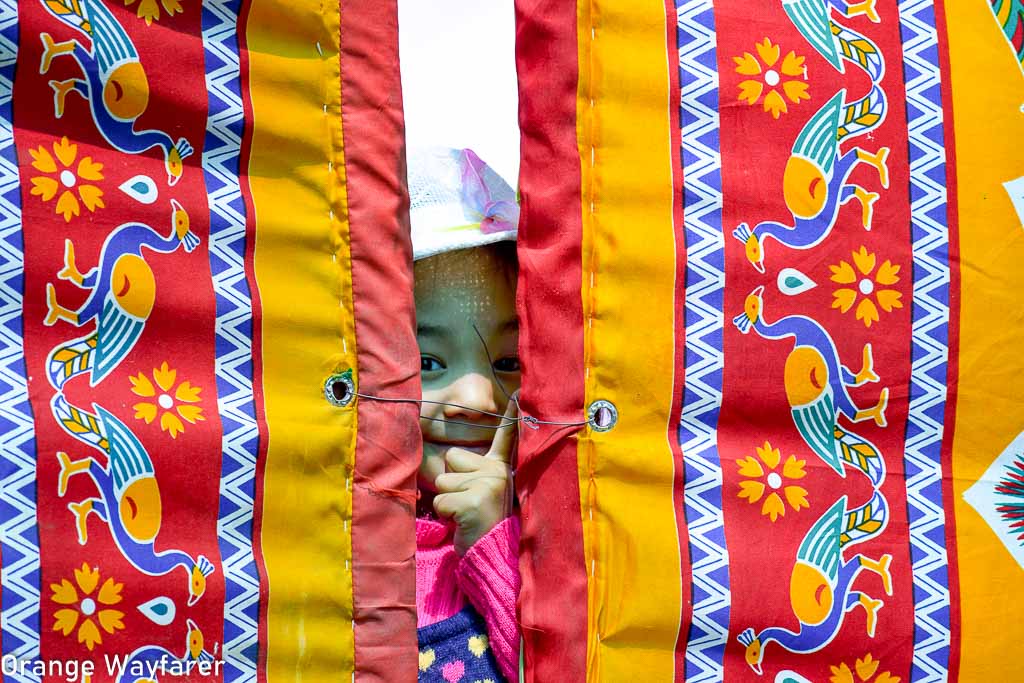 Naropa Festival at hemis Monastery: things to do in Leh