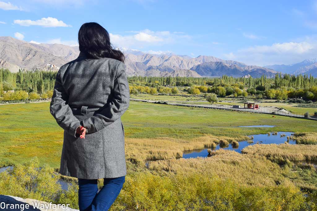 Shey Monastery: Things to do in Leh