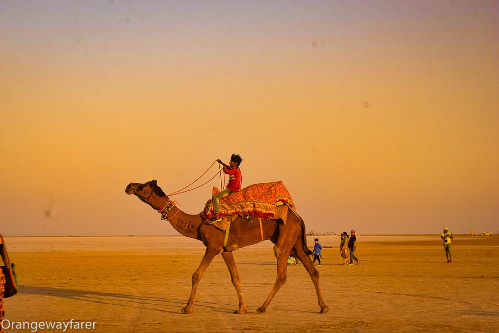 Sunset at Rann of Kutch