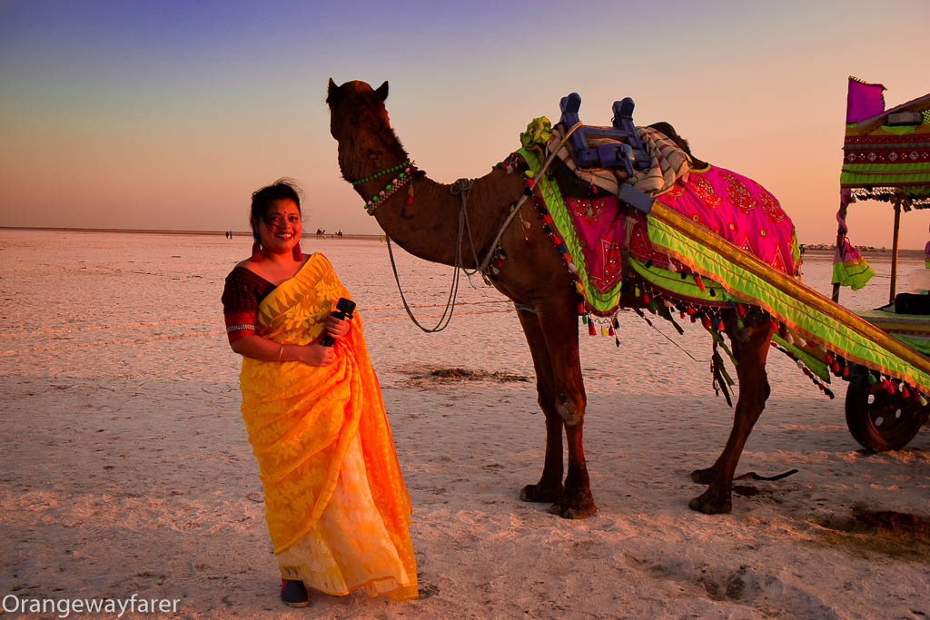 The Rann of Kutch White Desert Gujarat