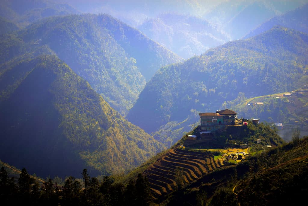 rice paddy fields in sa pa in March